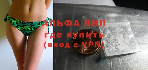 индика Алексин