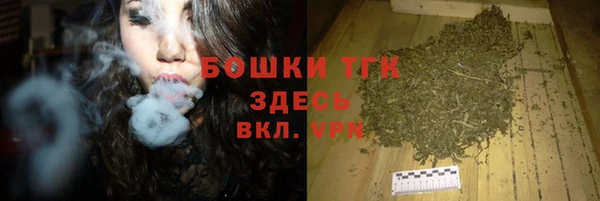 гашик Алексеевка