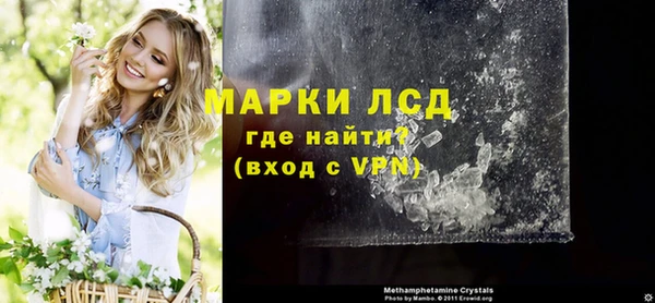 индика Алексин